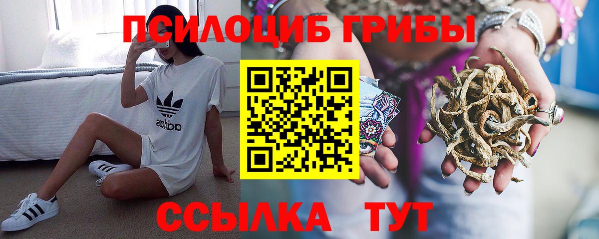 Галлюциногенные грибы MAGIC MUSHROOMS  наркошоп  Алушта  Вход с VPN 